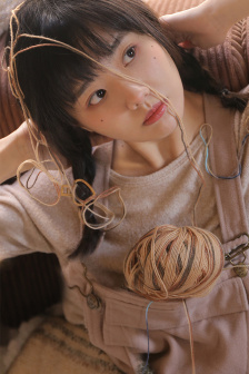 侠岚第四季